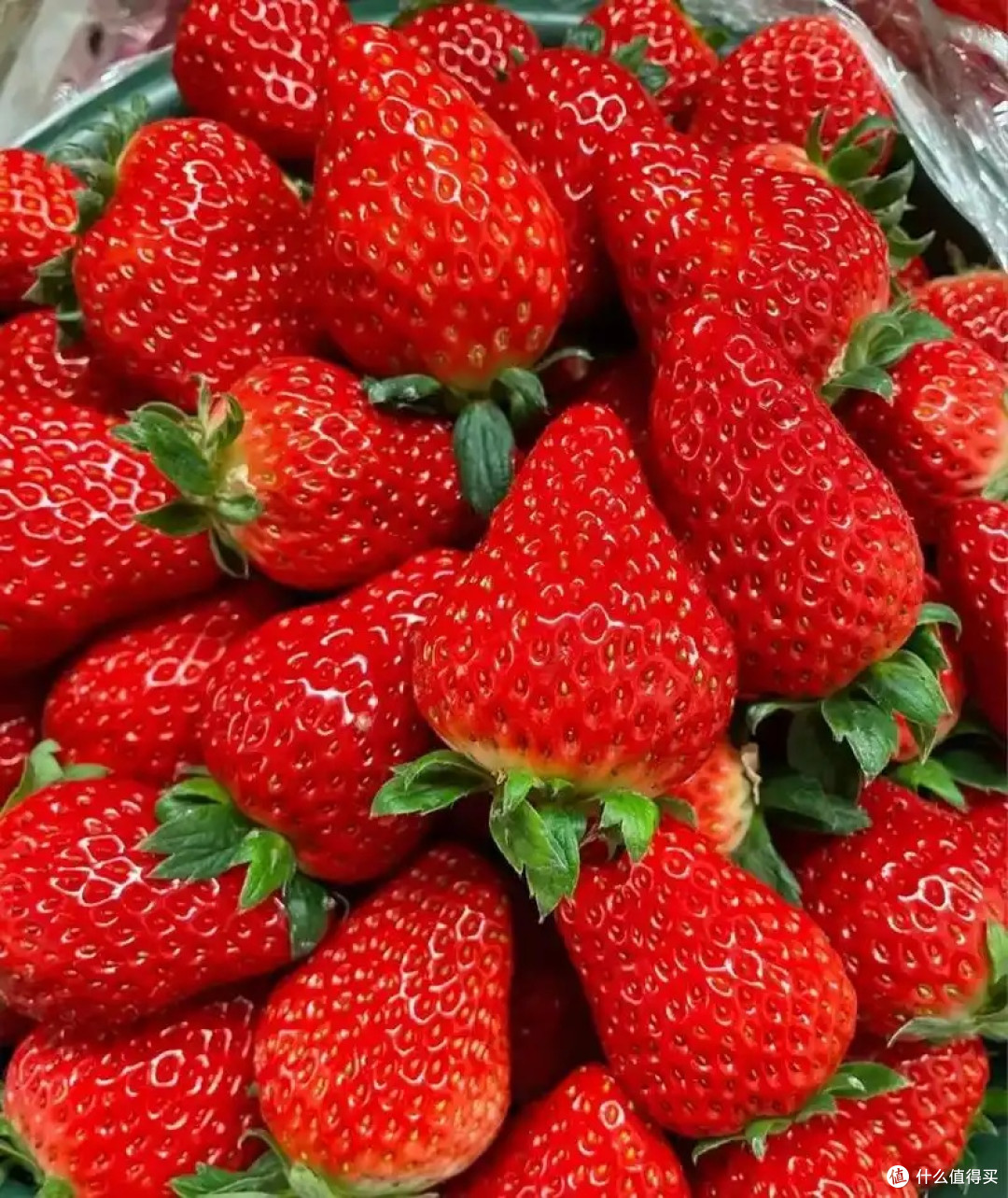 春季水果品鉴会:草莓口感与挑选技巧