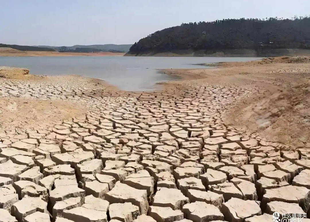 40℃+!多地提前“入伏”,今年为何热得这么早?