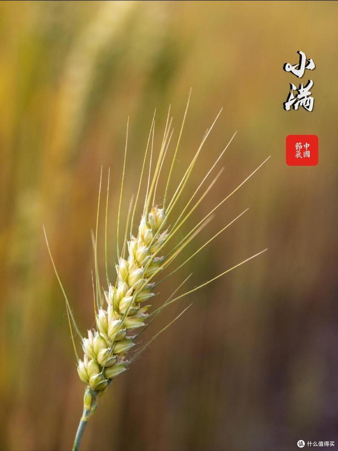 明天小满,不管有钱没钱,牢记:少吃3样,多食3辛,建议了解!