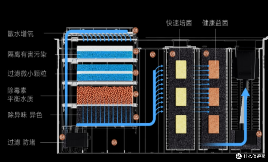 养鱼如何走出新手村?当贝智能鱼缸1 Ultra:让我省心又省力