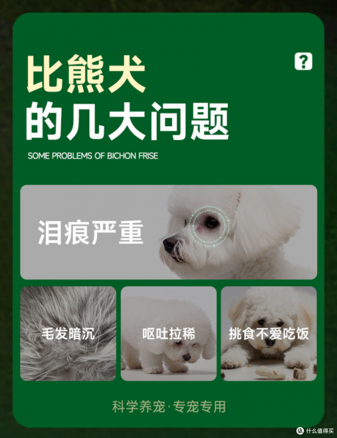 凯锐思荣获CIC灼识“比熊专用狗粮销量第一”市场地位确认