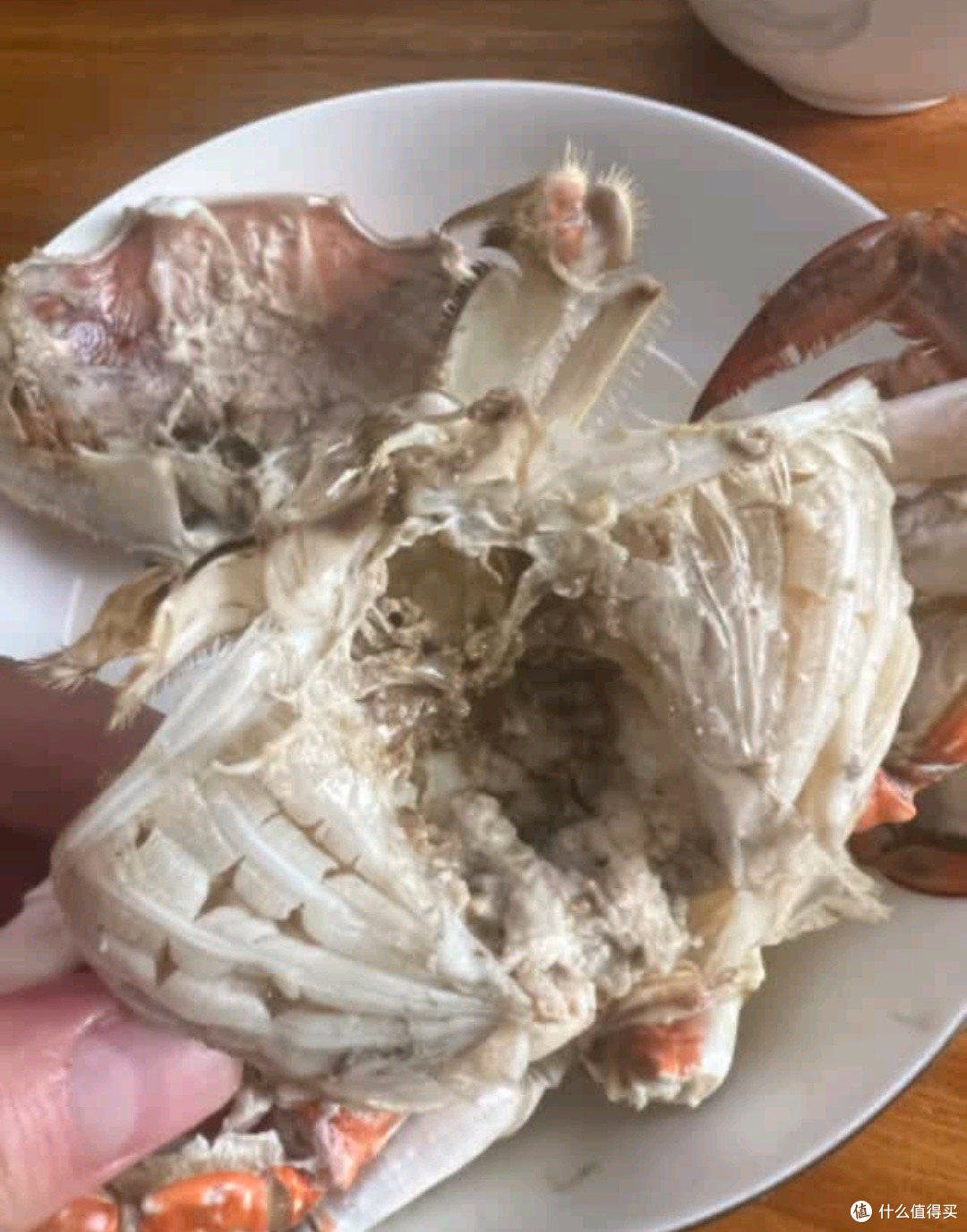 网购梭子蟹之“踩雷”体验,体验吃泥巴