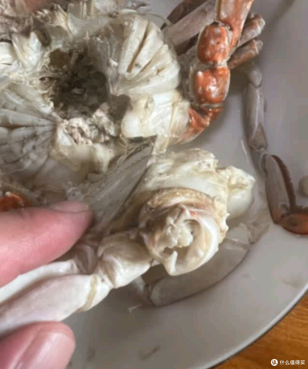 网购梭子蟹之“踩雷”体验,体验吃泥巴