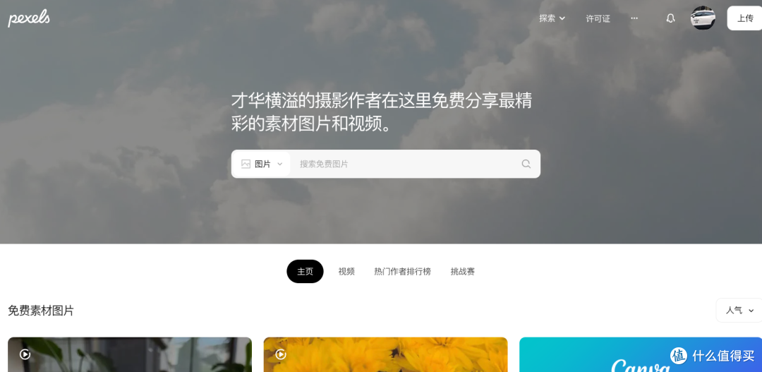10个风景视频素材网站助你创作升级:邂逅初夏光影,定格诗与远方