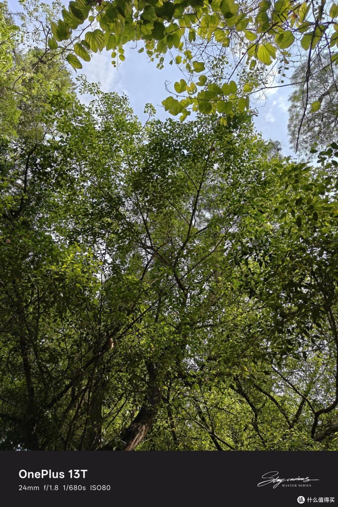 2025小屏旗舰双雄终极对决：一加13T和小米15，怎么选？