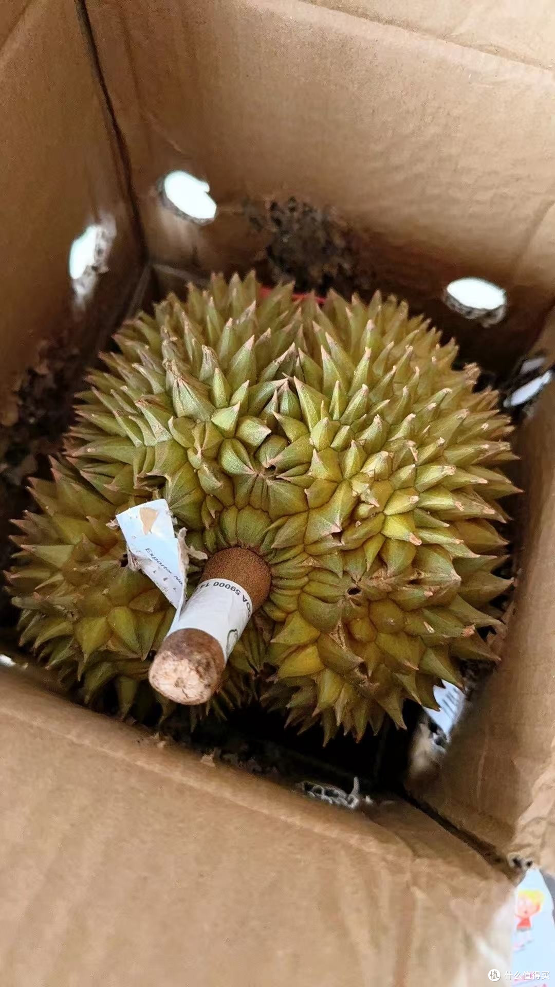 泰国进口金枕榴莲的独特魅力