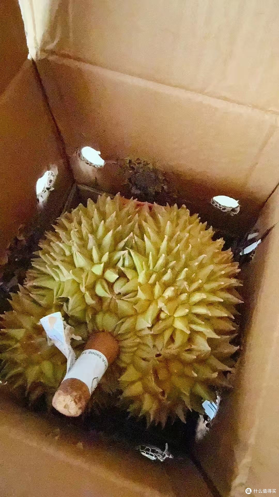 泰国进口金枕榴莲的独特魅力