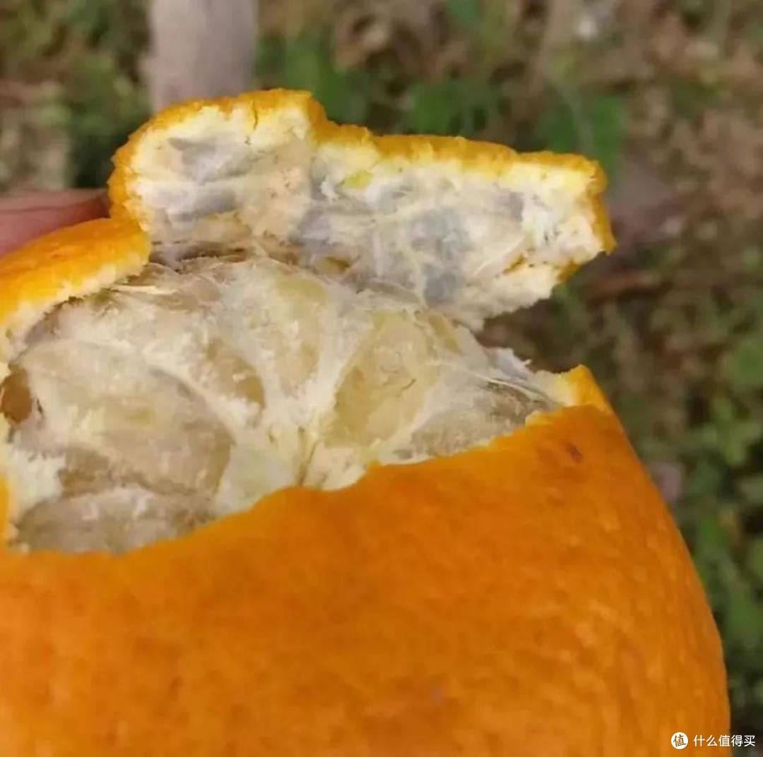 看似“坏掉”,实际上可以放心吃的9种食物,扔掉就太可惜了!
