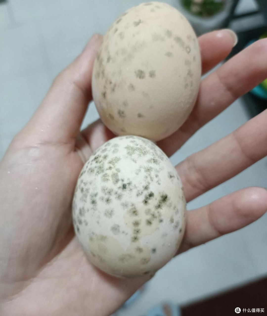 看似“坏掉”,实际上可以放心吃的9种食物,扔掉就太可惜了!