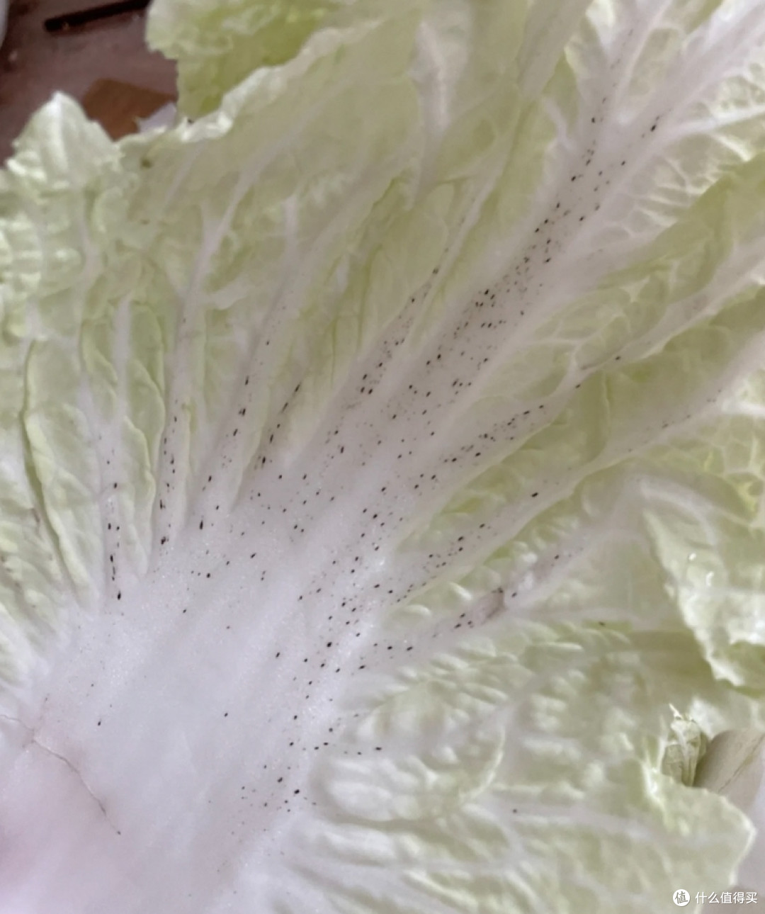 看似“坏掉”,实际上可以放心吃的9种食物,扔掉就太可惜了!