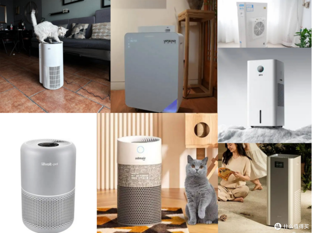 宠物净化器哪个牌子好？2025品牌排行榜前十名产品权威测评！