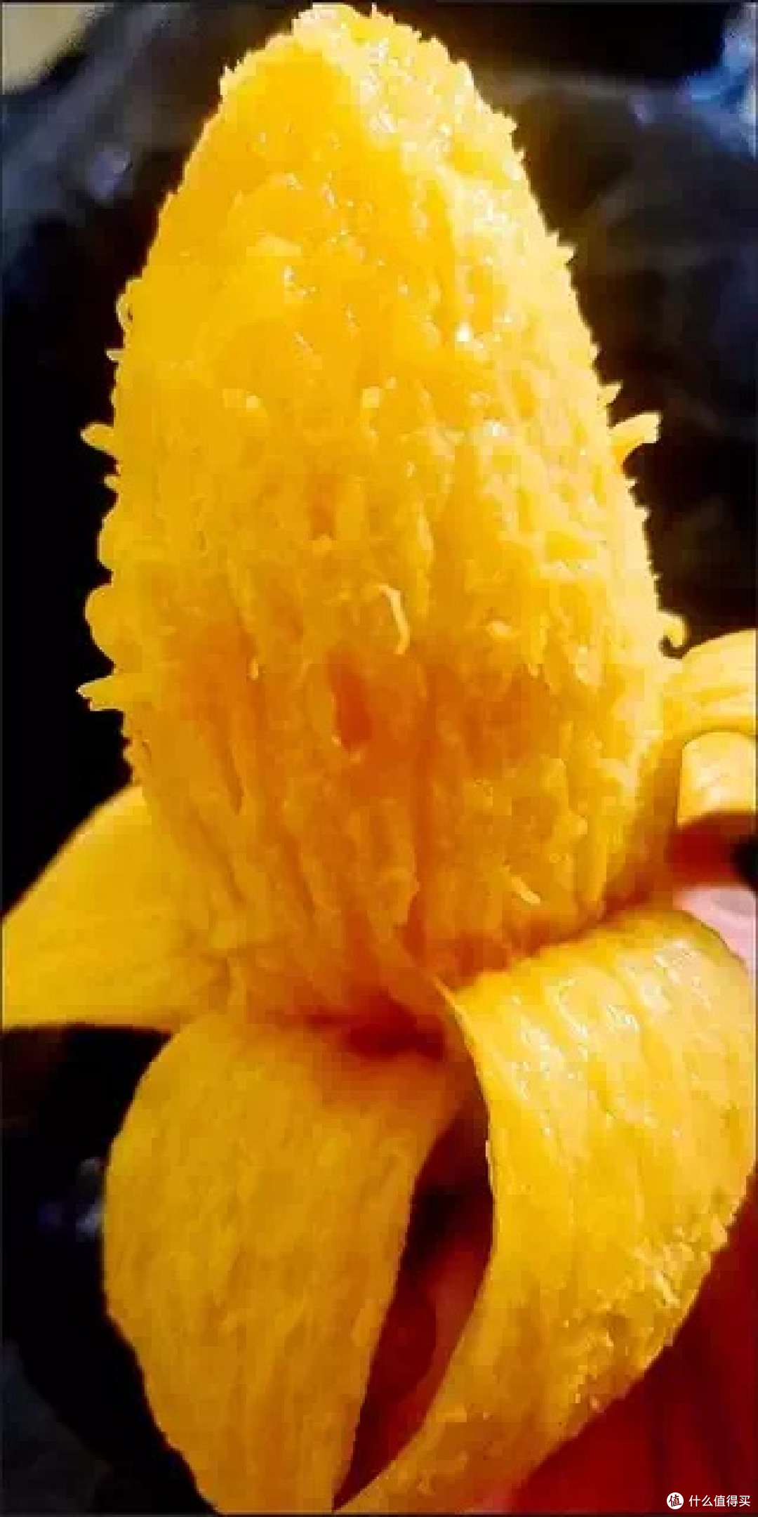 海南贵妃芒,你吃过吗?