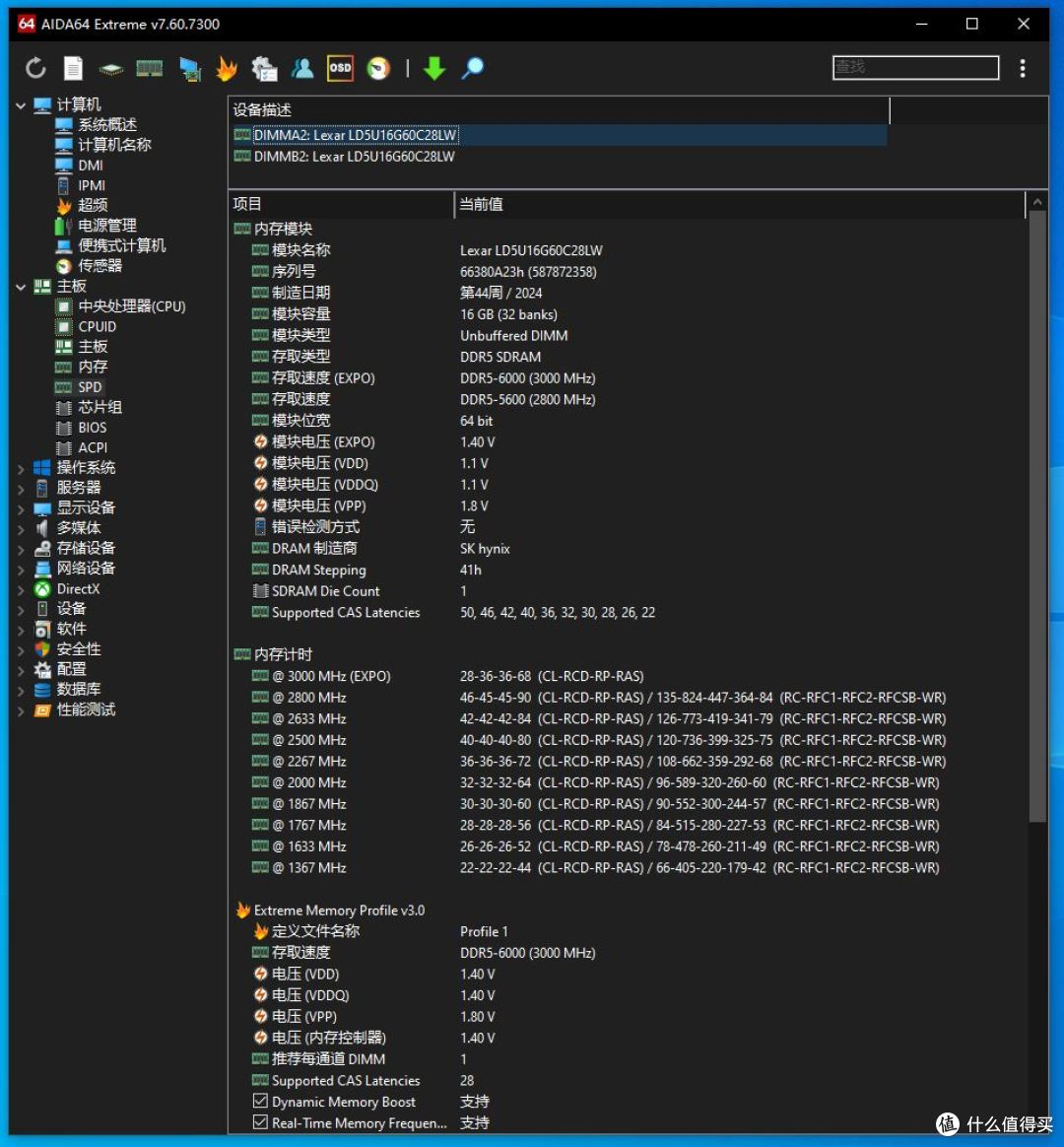 AIDA64显示SK海力士颗粒