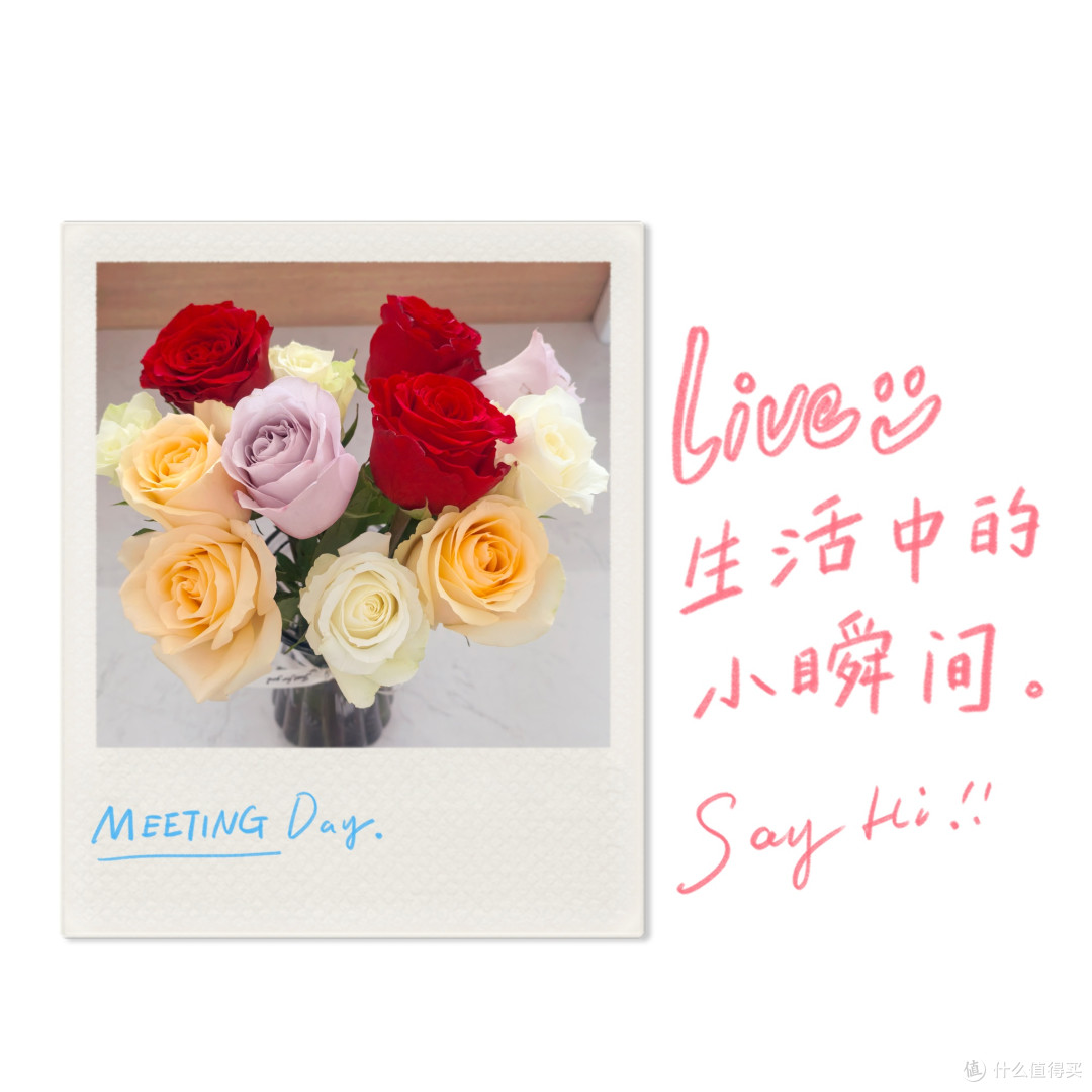 花影间的慢生活
