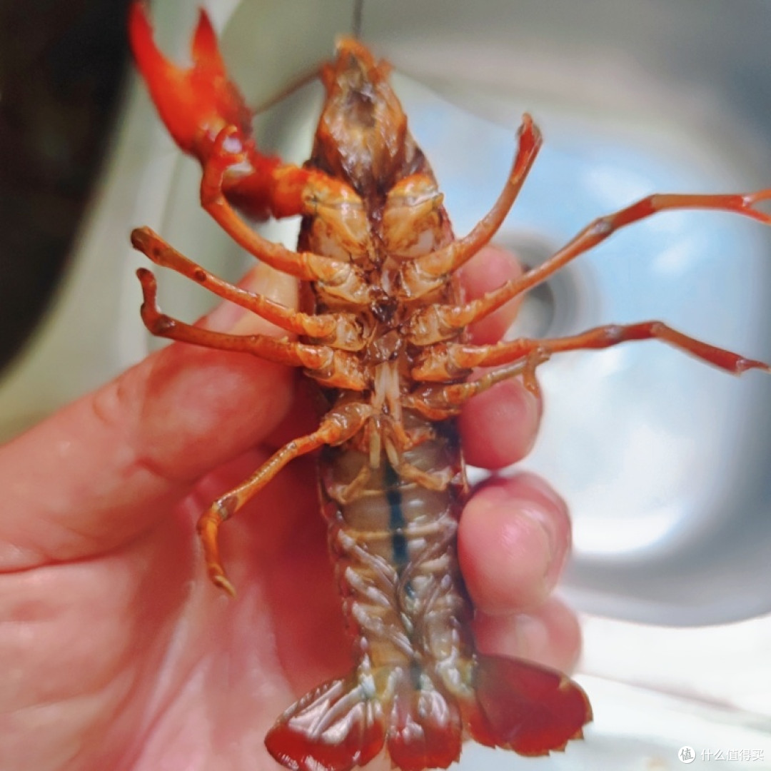 蒜蓉小龙虾终极攻略!鲜嫩Q弹、蒜香浓郁,好食到吮手指