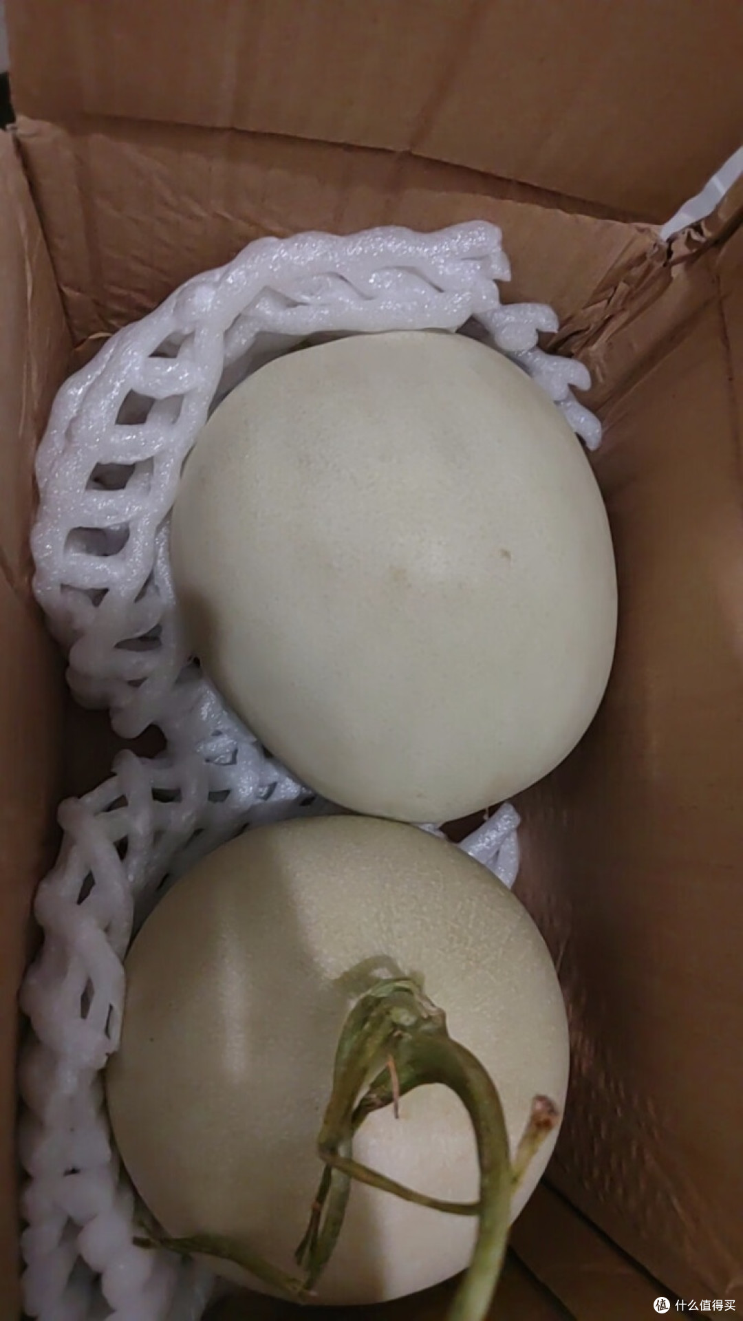 网纹瓜开箱:品味自然馈赠的甜蜜惊喜