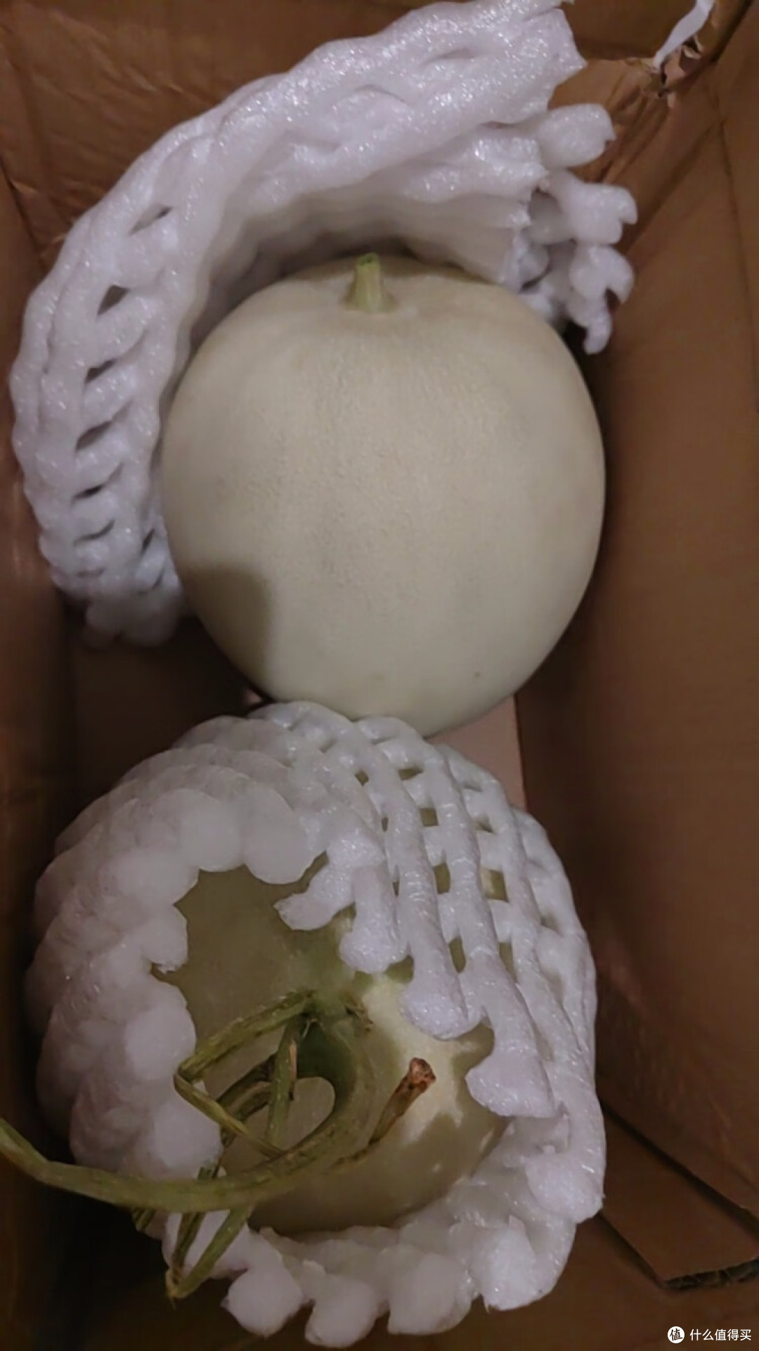 网纹瓜开箱:品味自然馈赠的甜蜜惊喜