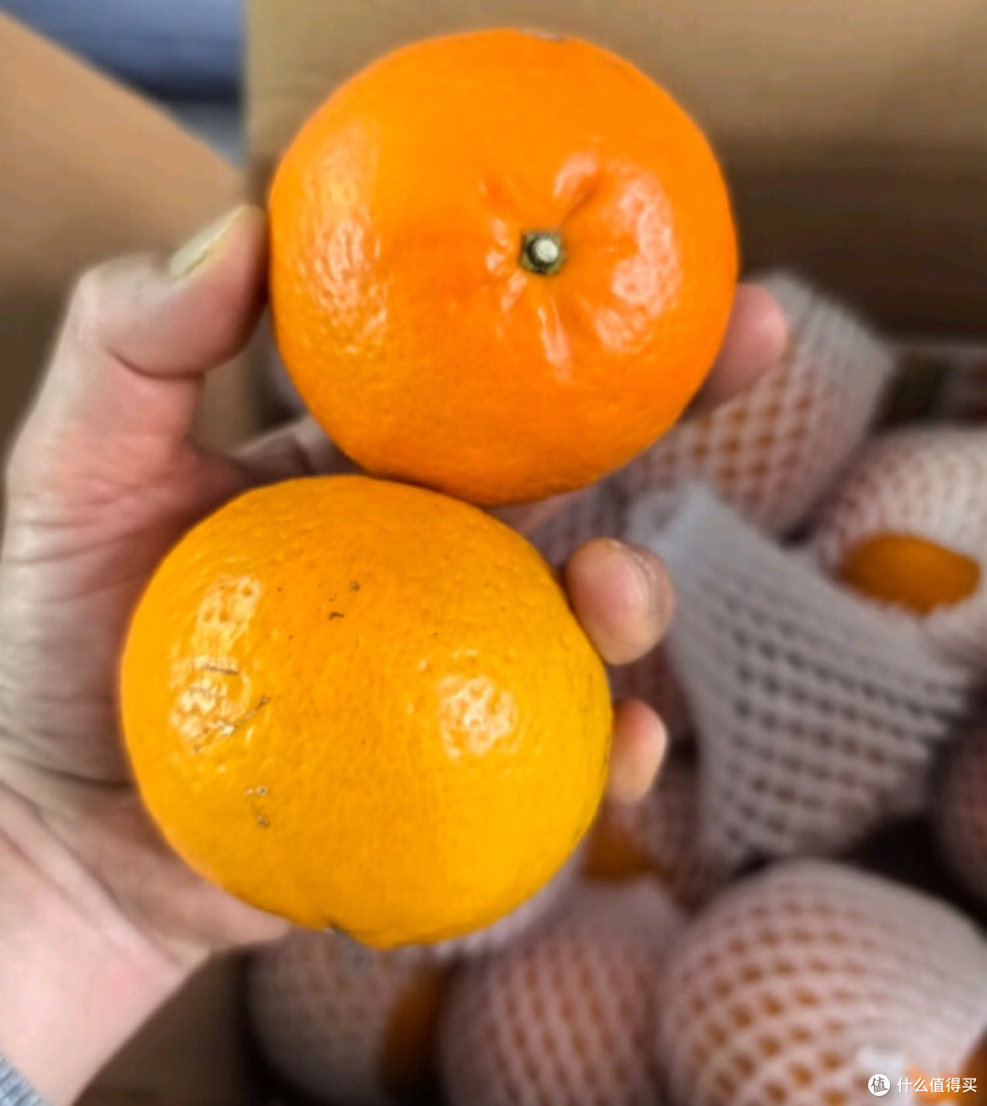 云南沃柑:甜蜜满溢的舌尖之旅