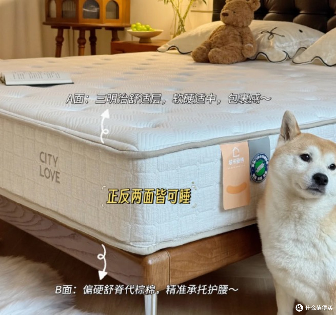 千元床垫！试睡半个月是真的很舒服！