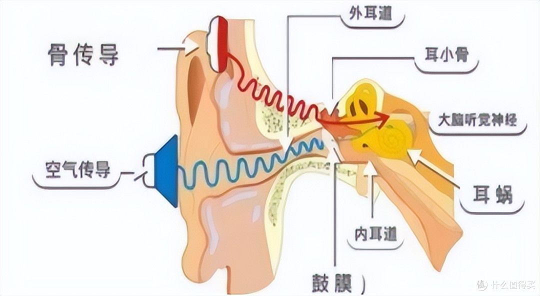 什么是开放式耳机?哪些开放式蓝牙耳机品牌值得推荐