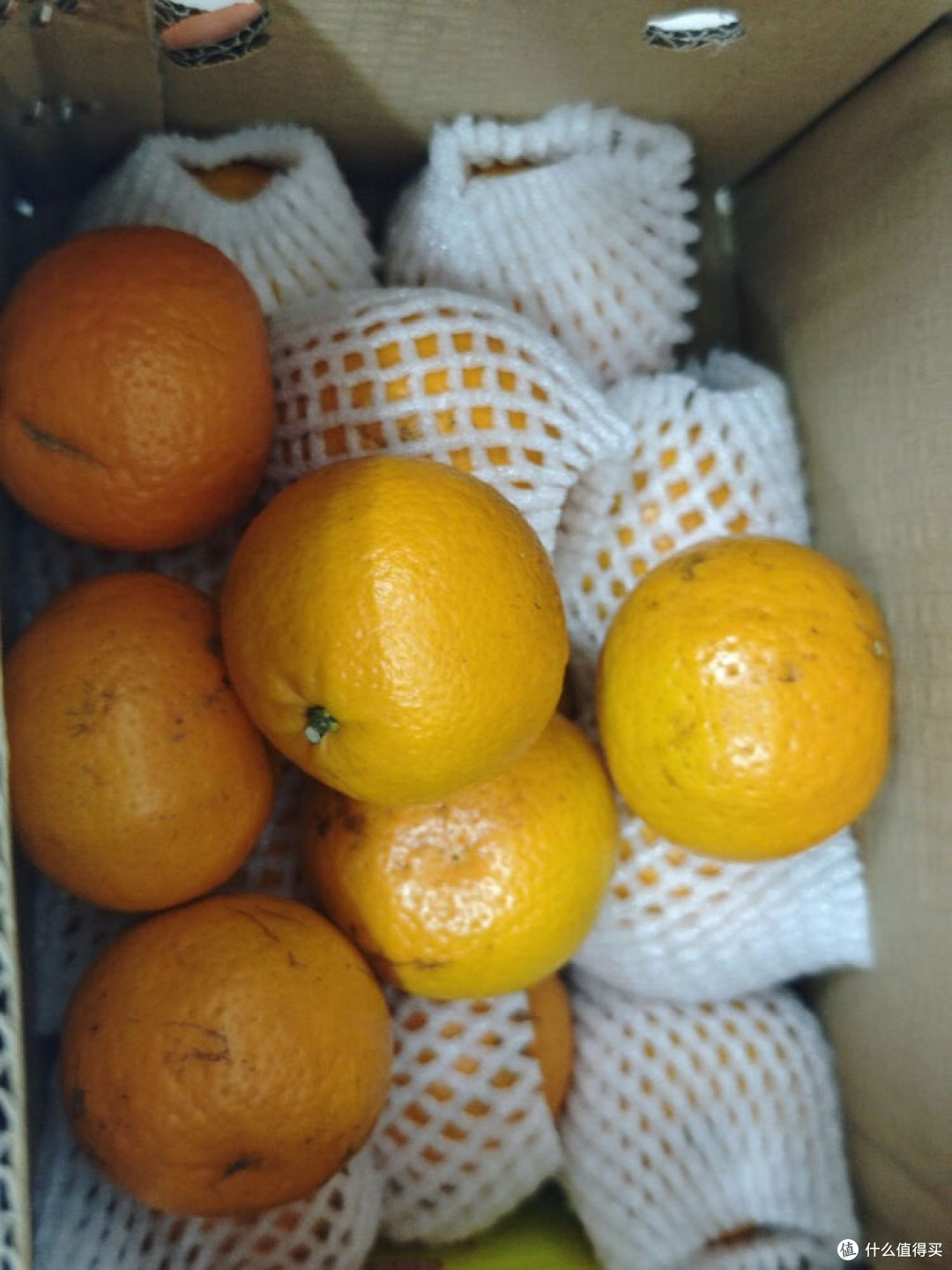 云南沃柑:舌尖上的阳光之味