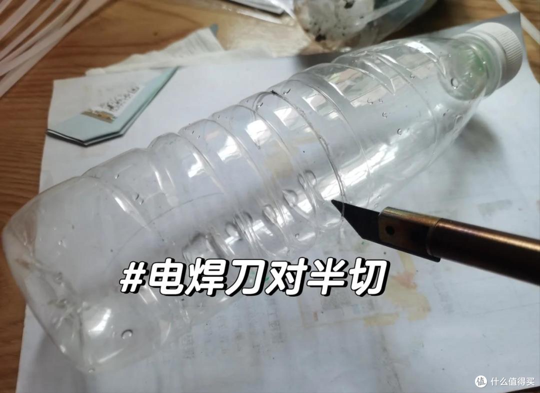 上海一女姑娘火了,用“矿泉水桶”打造阳台菜园,那叫一个壮观!