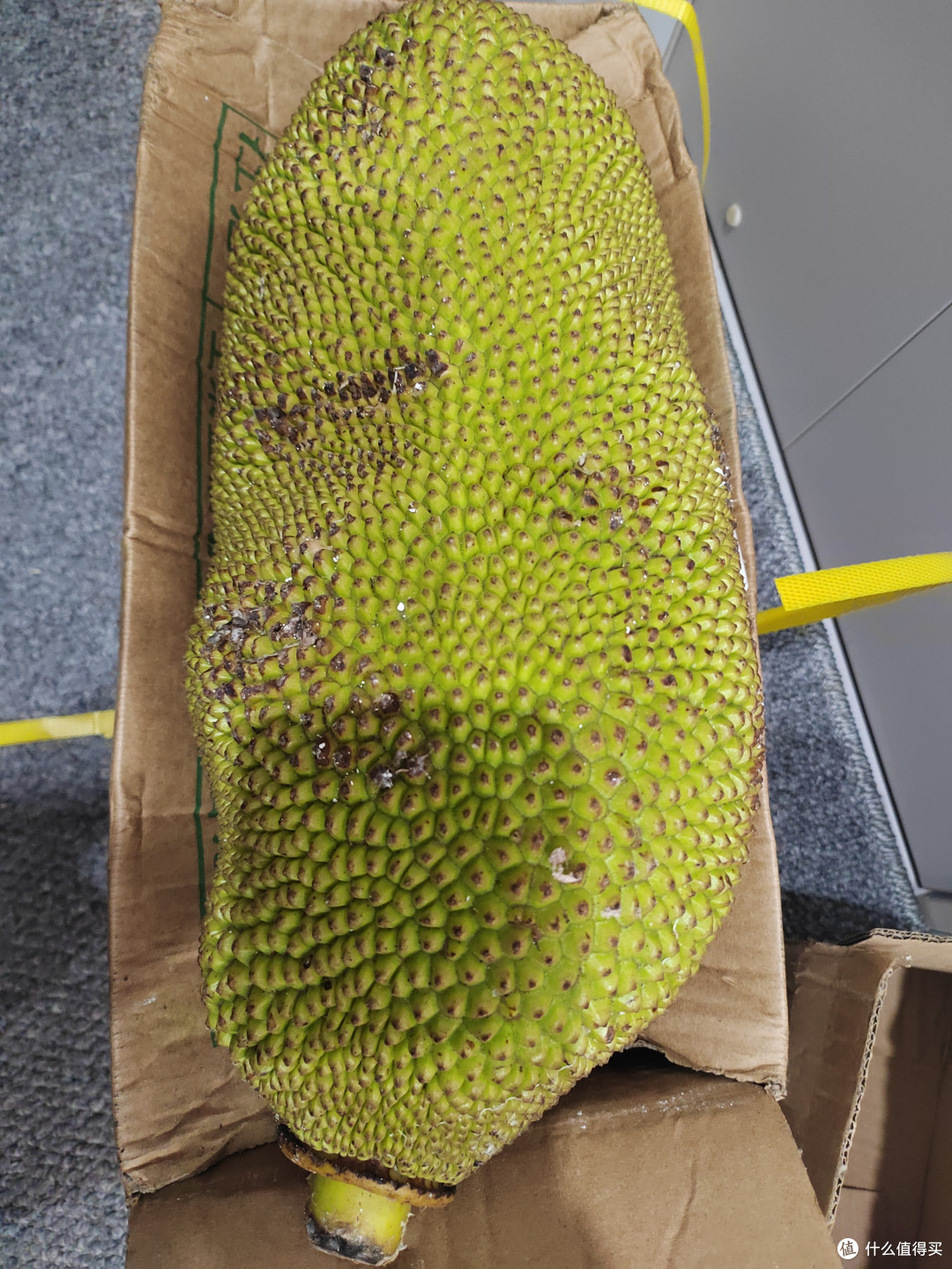 尝鲜首选,海南黄肉菠萝蜜