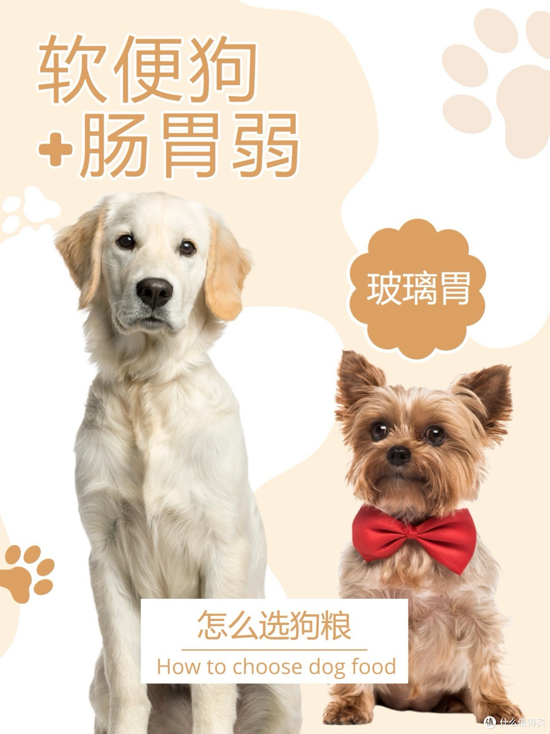 软便狗+肠胃弱狗子可以看看这款狗粮