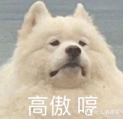 款中高端吸尘器实物测评!吸尘器选购技巧分享(适合小白)