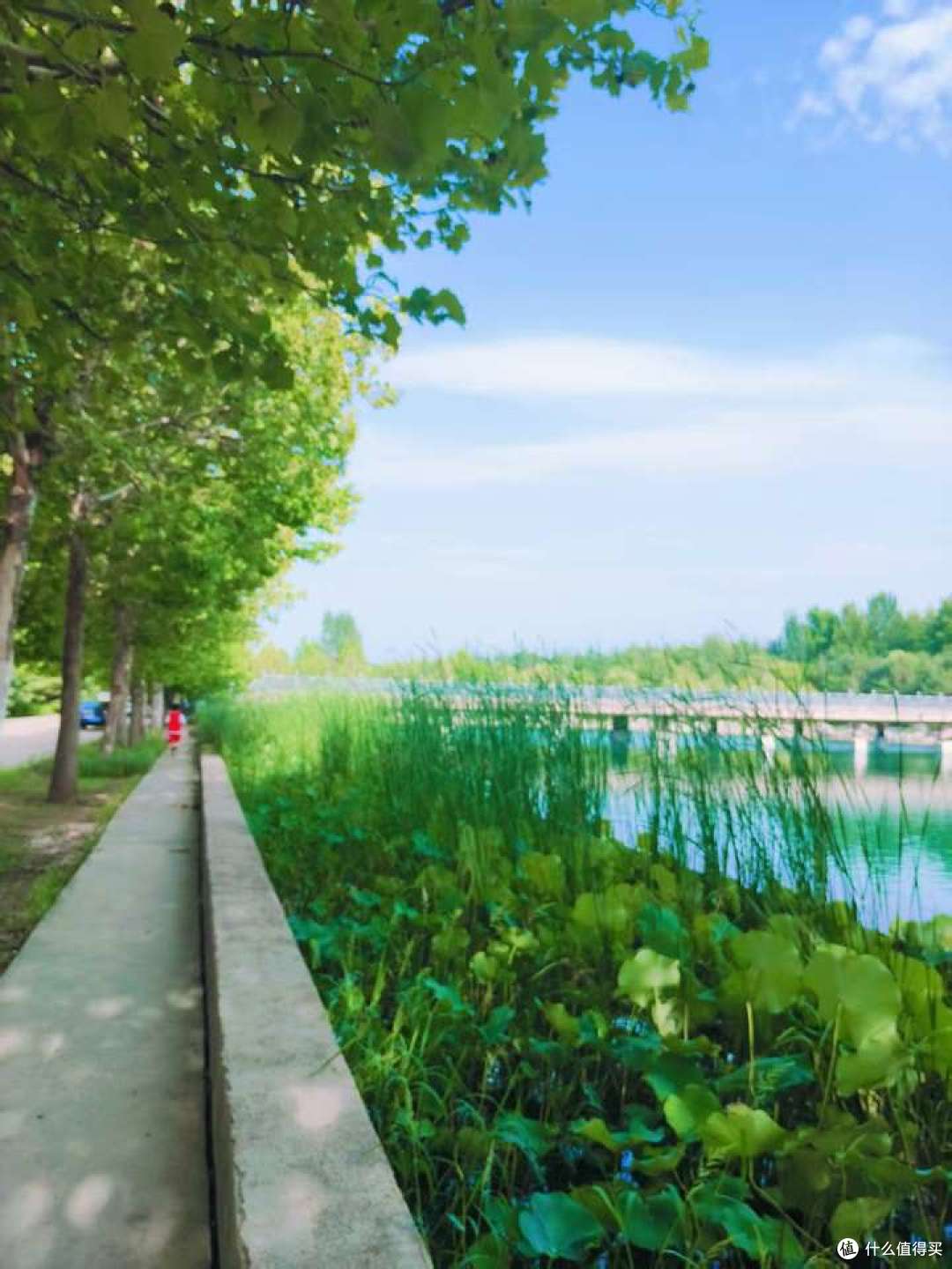 亲近自然的课程是更适合儿童的教育吗?