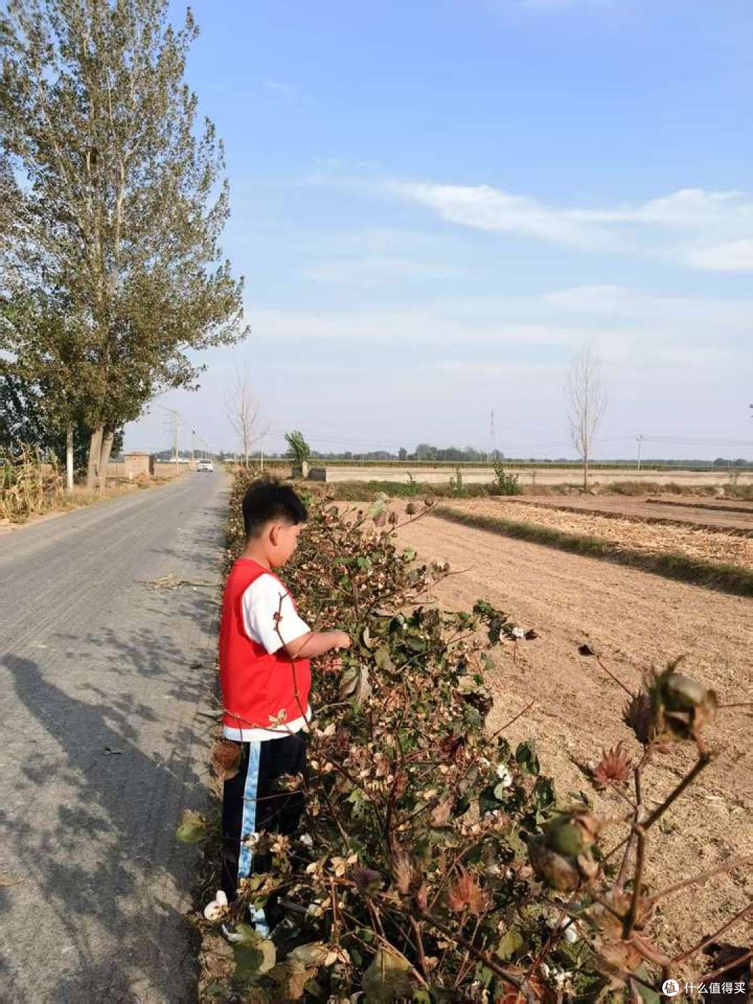 亲近自然的课程是更适合儿童的教育吗?