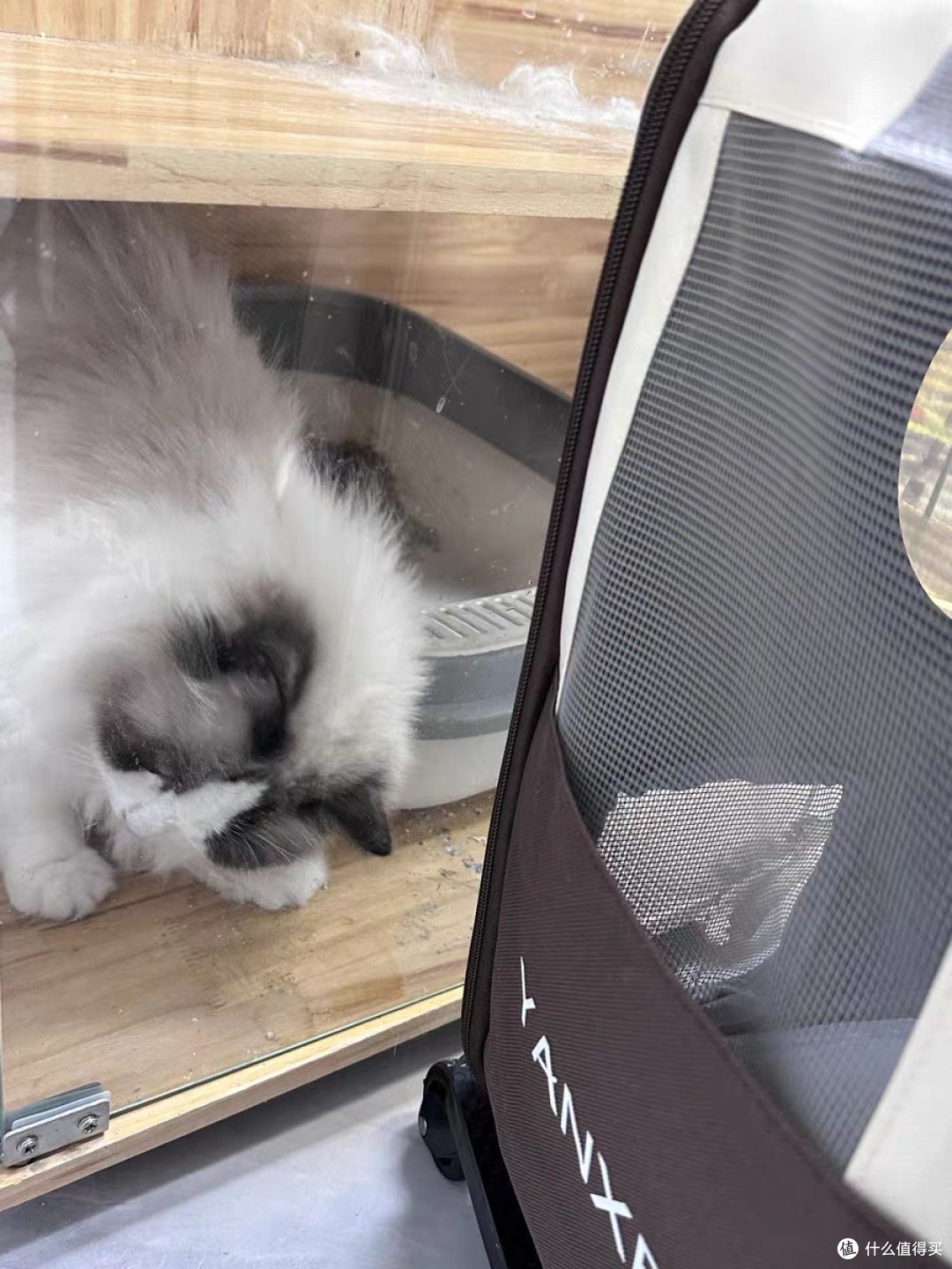 大容量猫包，轻松带猫咪出门