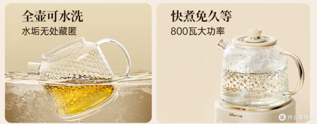 小熊全玻璃养生壶,打工人的续命神器