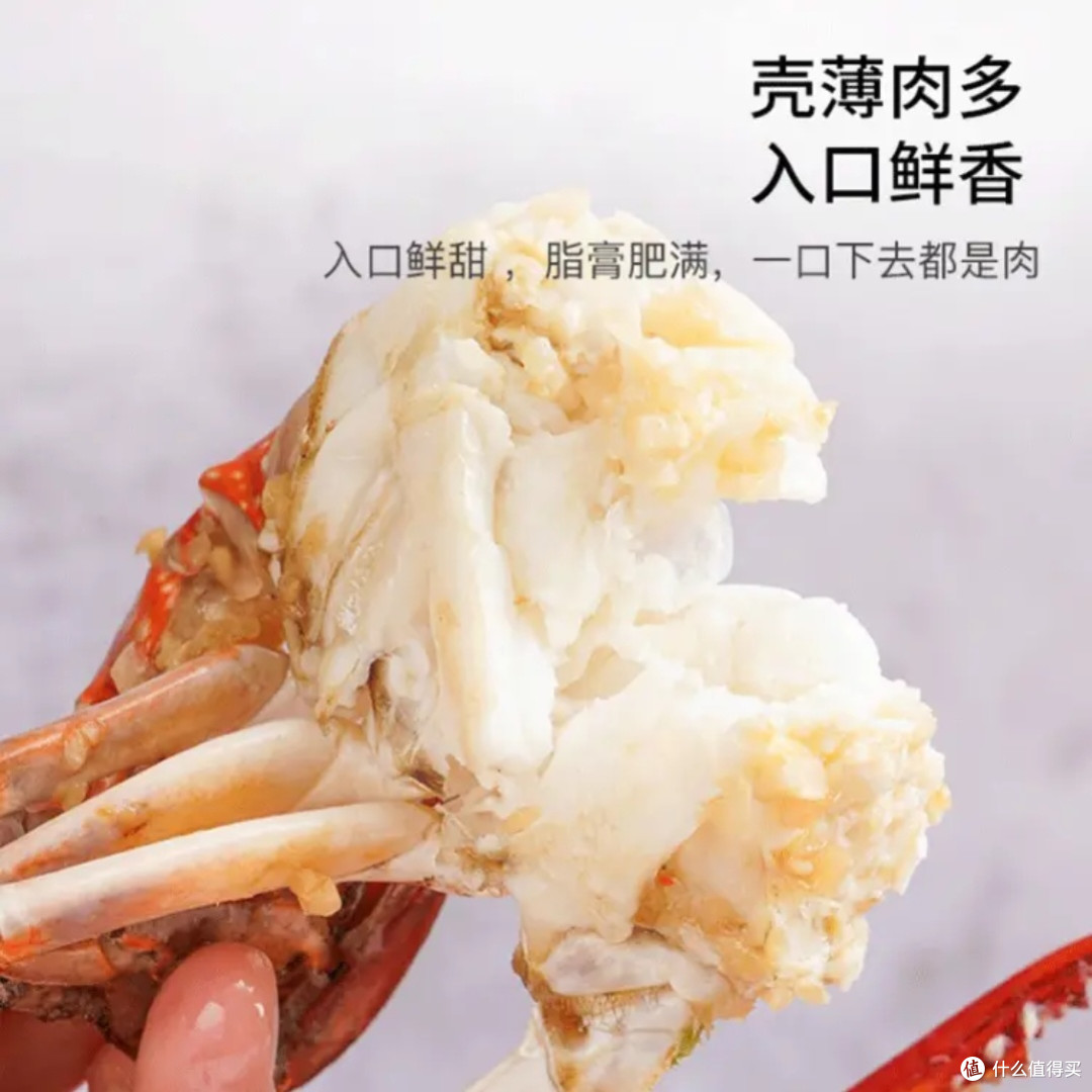 舟山特大野生梭子蟹新鲜上市