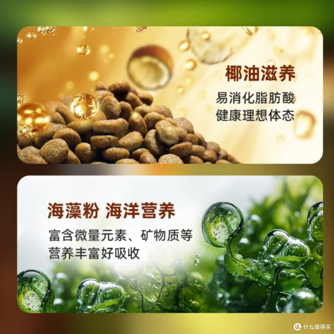 ODE椰油海藻狗粮：全价全期营养
