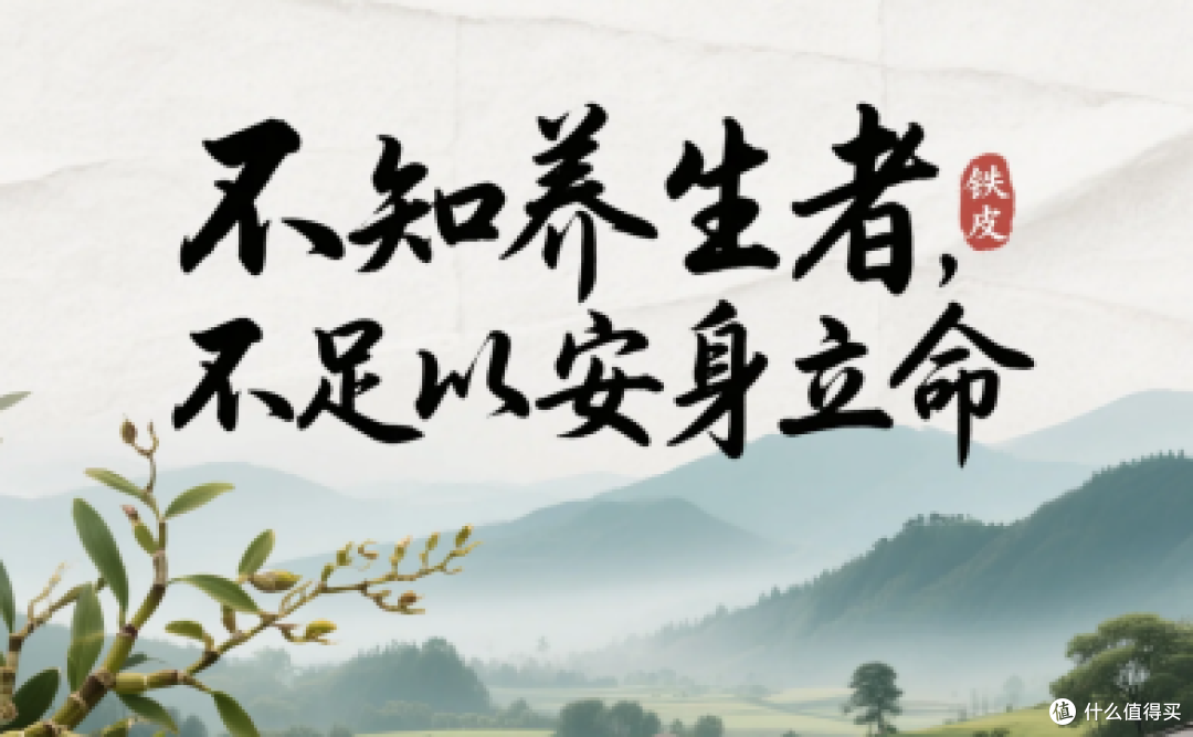 2025最新铁皮石斛品牌排名来了,精选TOP10品质稳定
