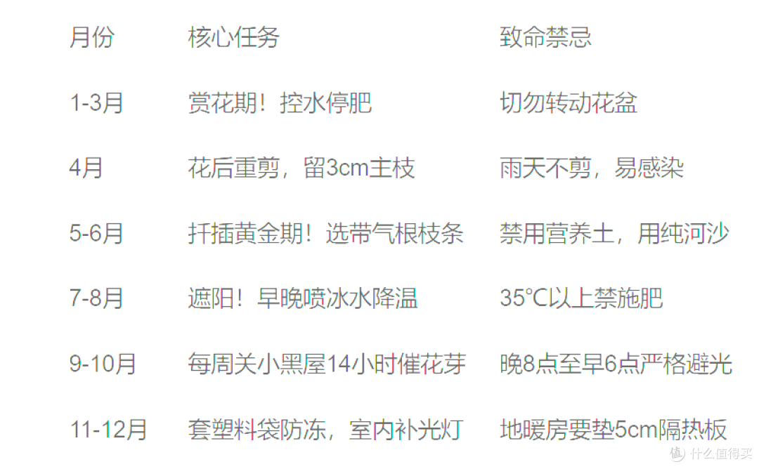 河北姑娘绝了!长寿花养成拇指粗老桩,爆花上百朵,秘诀被公开!