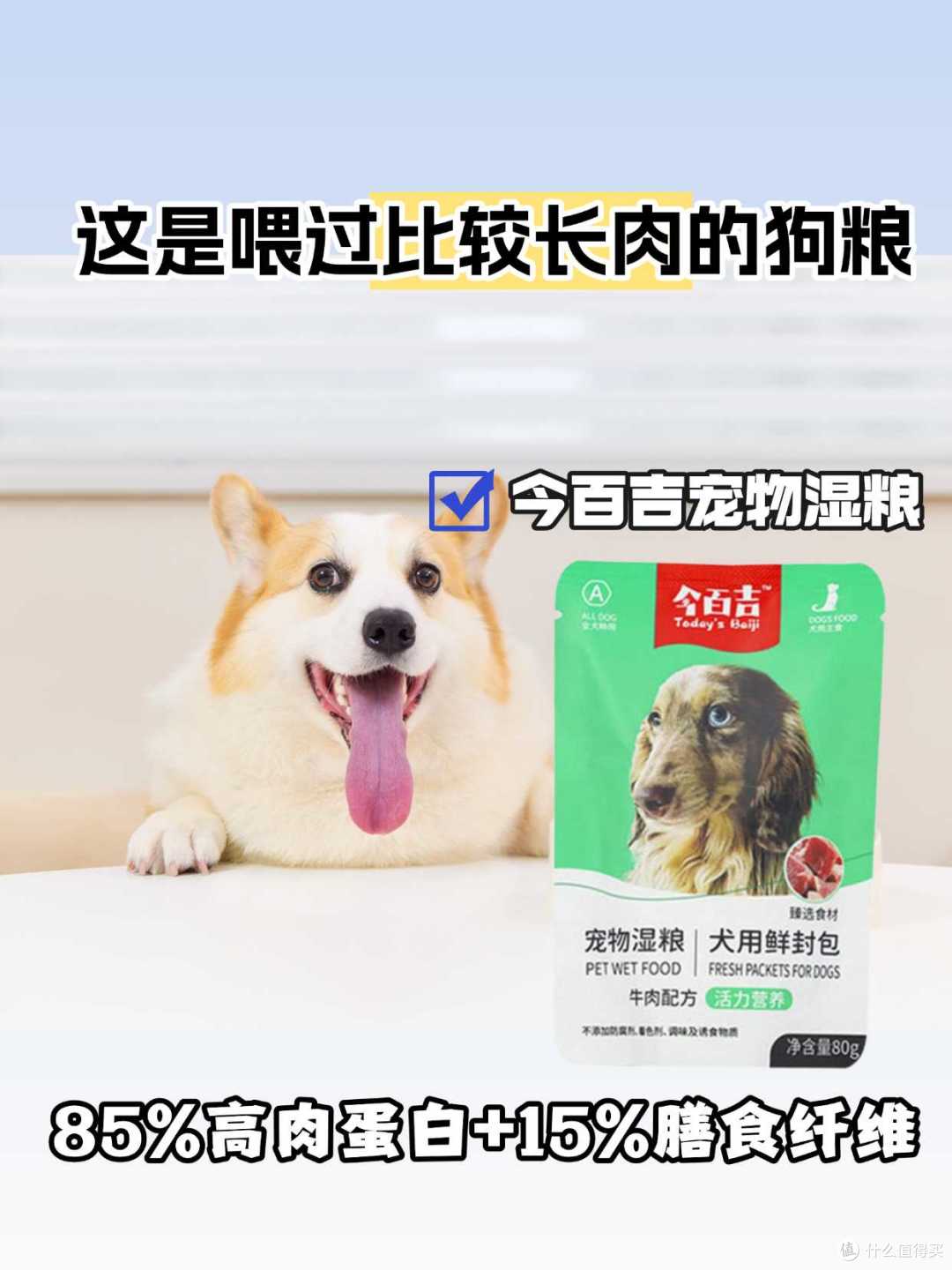 柯基越吃越长肉的秘籍!选对狗粮很重要