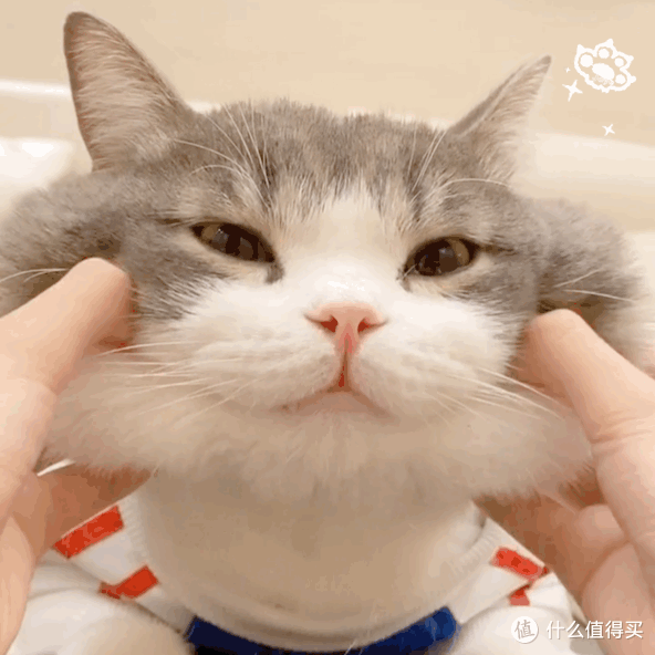 吸尘器怎么选?追觅、戴森、小狗等高端吸尘器怎么选?