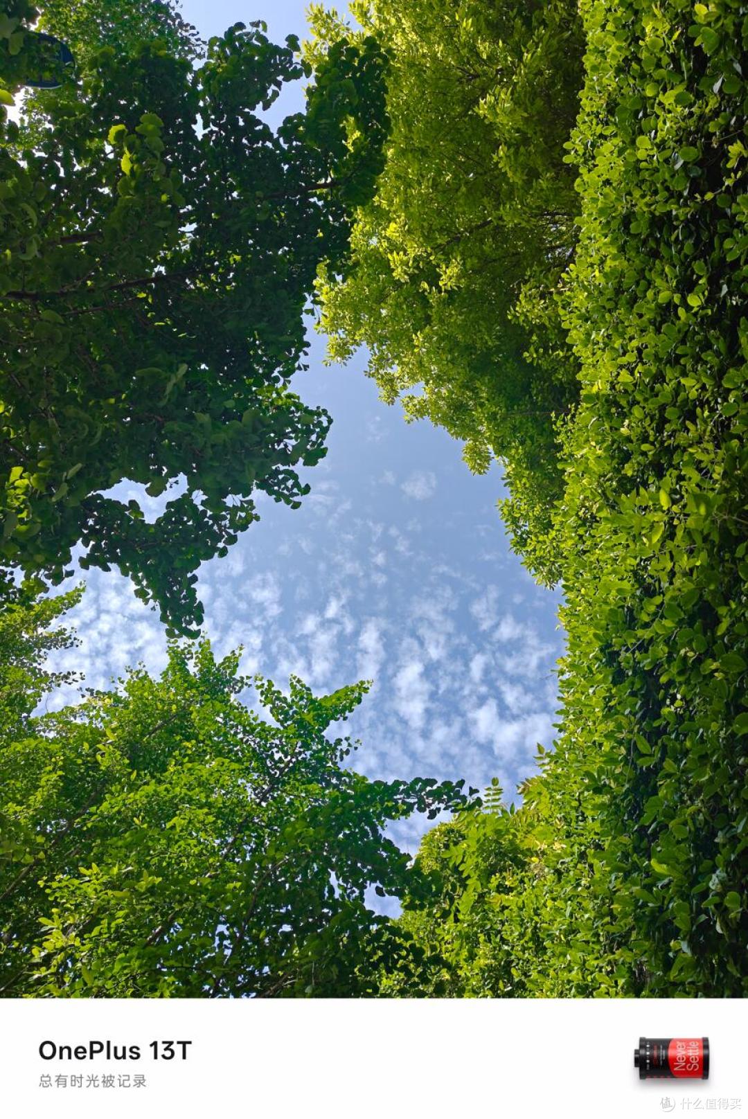 小屏大魔王真不是噱头!一加13T可能是2025年最理想的小屏旗舰