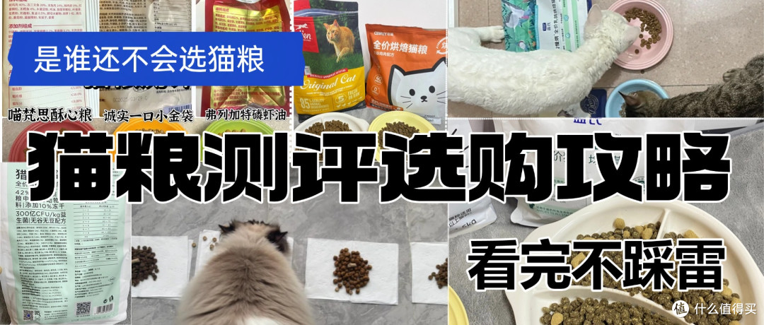 猫粮怎么买哪个品牌的好?十大放心猫粮国产盘点