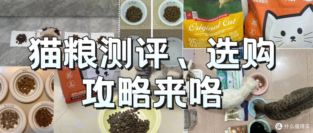 买猫粮哪个牌子是首选？国产十大放心猫粮品牌排行榜盘点