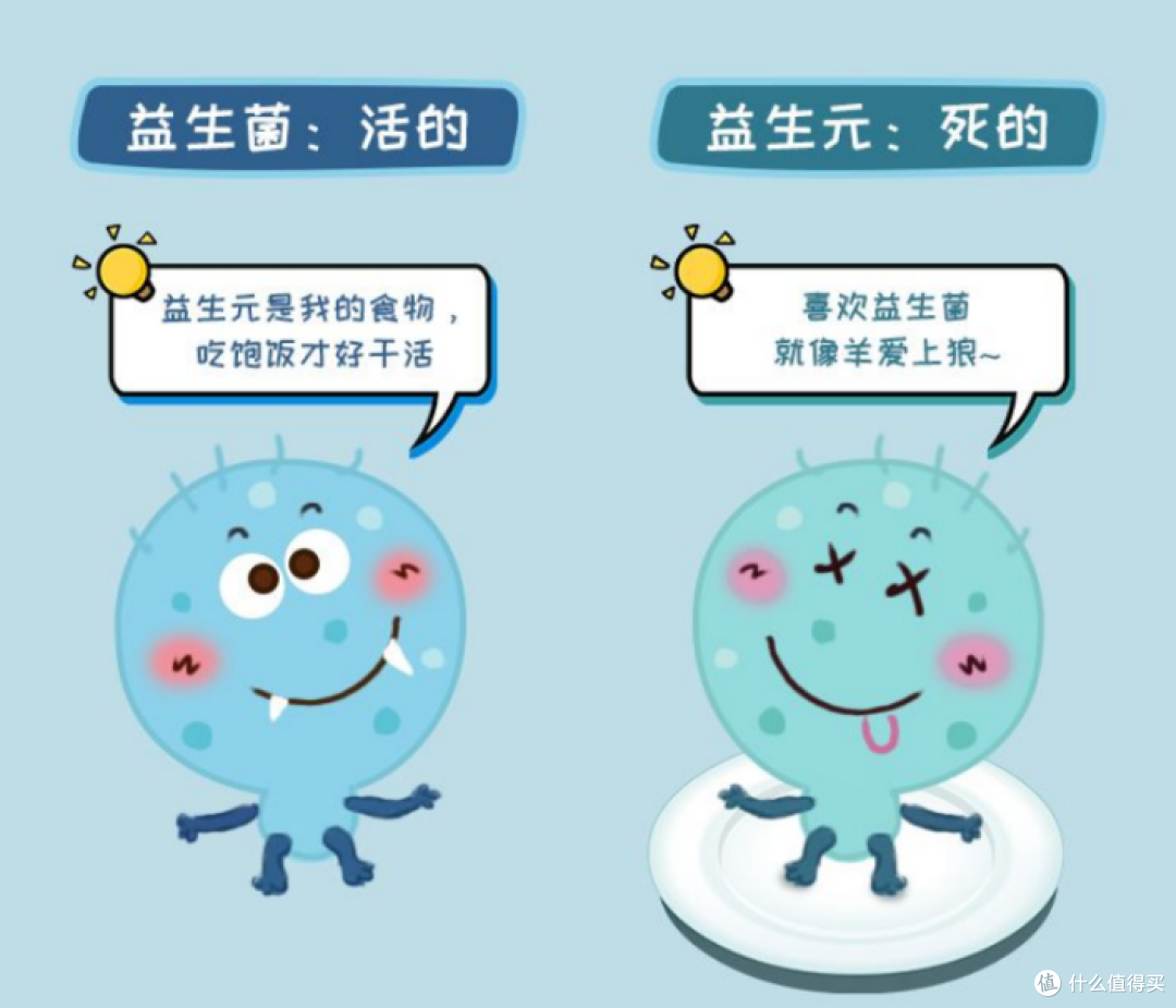 猫咪消化难题深度解析：从临床数据看科学喂养趋势