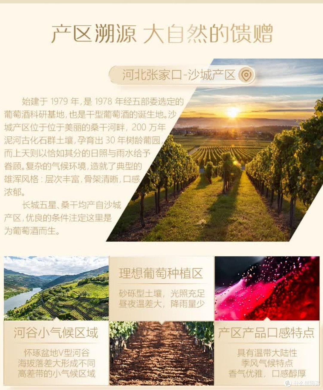 长城特酿6解百纳:国民餐桌的赤霞珠宣言