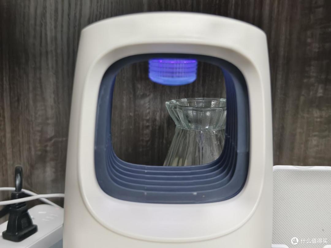 新手养猫怕踩坑？收好这份清洁用品红黑榜！