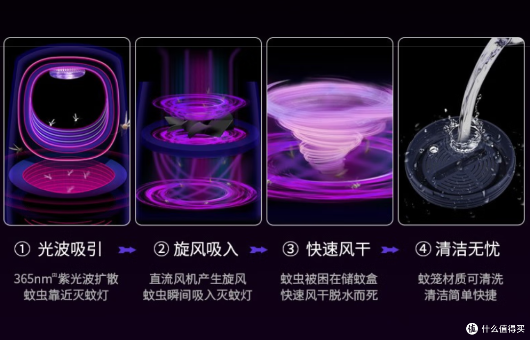 新手养猫怕踩坑？收好这份清洁用品红黑榜！