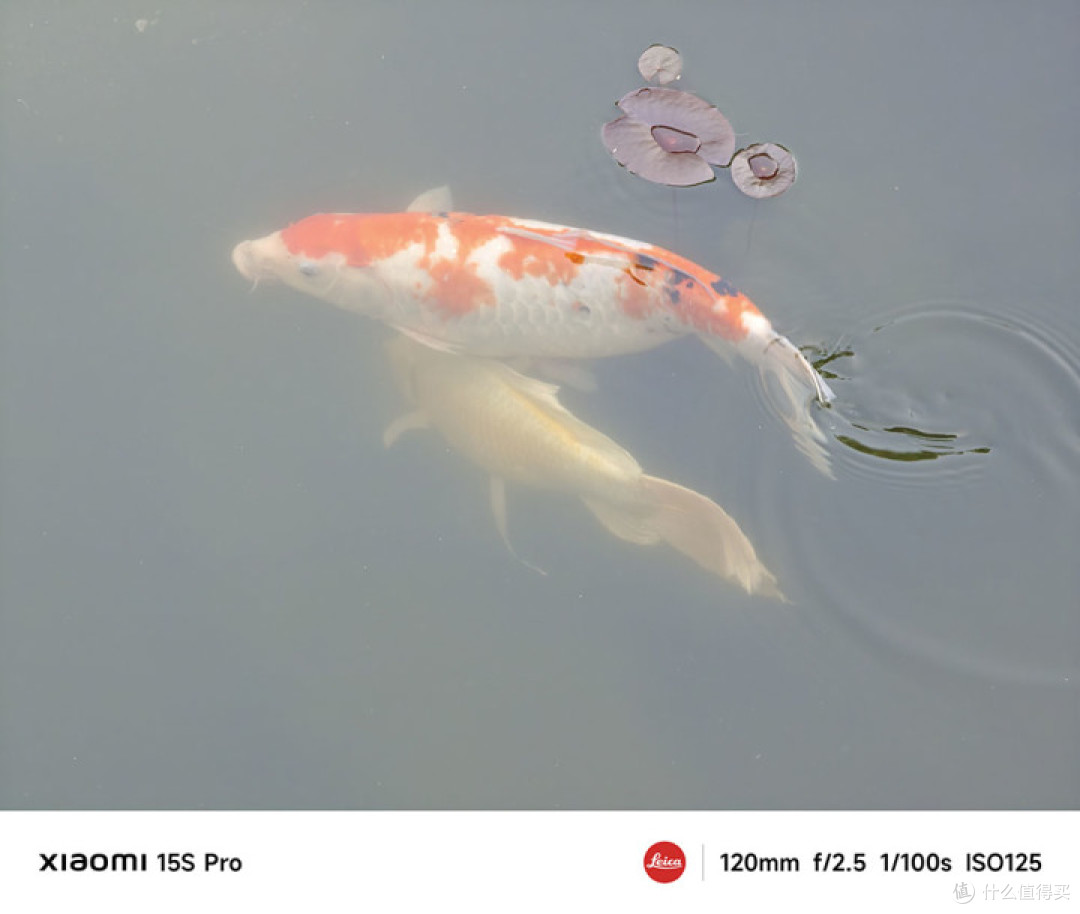 小米15S Pro评测 首发自研芯片体验远超预期