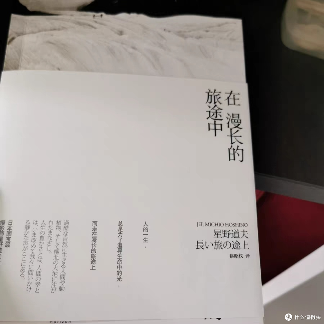 在阅读中遇见美好