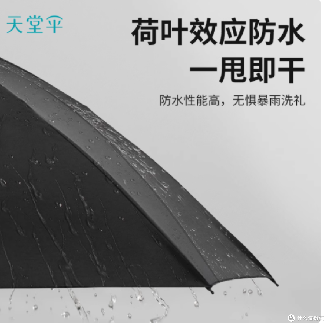 天堂伞加大号抗风暴雨伞——无惧风雨,守护每一刻