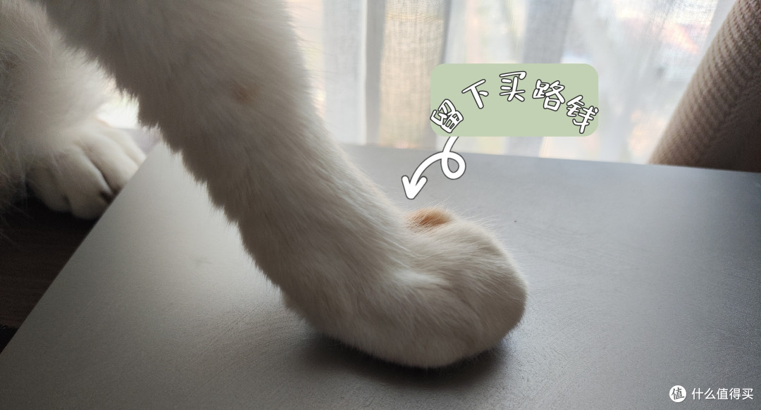 元气方糖NEO 84机械键盘，精致小猪猪的爱，还得是矮轴